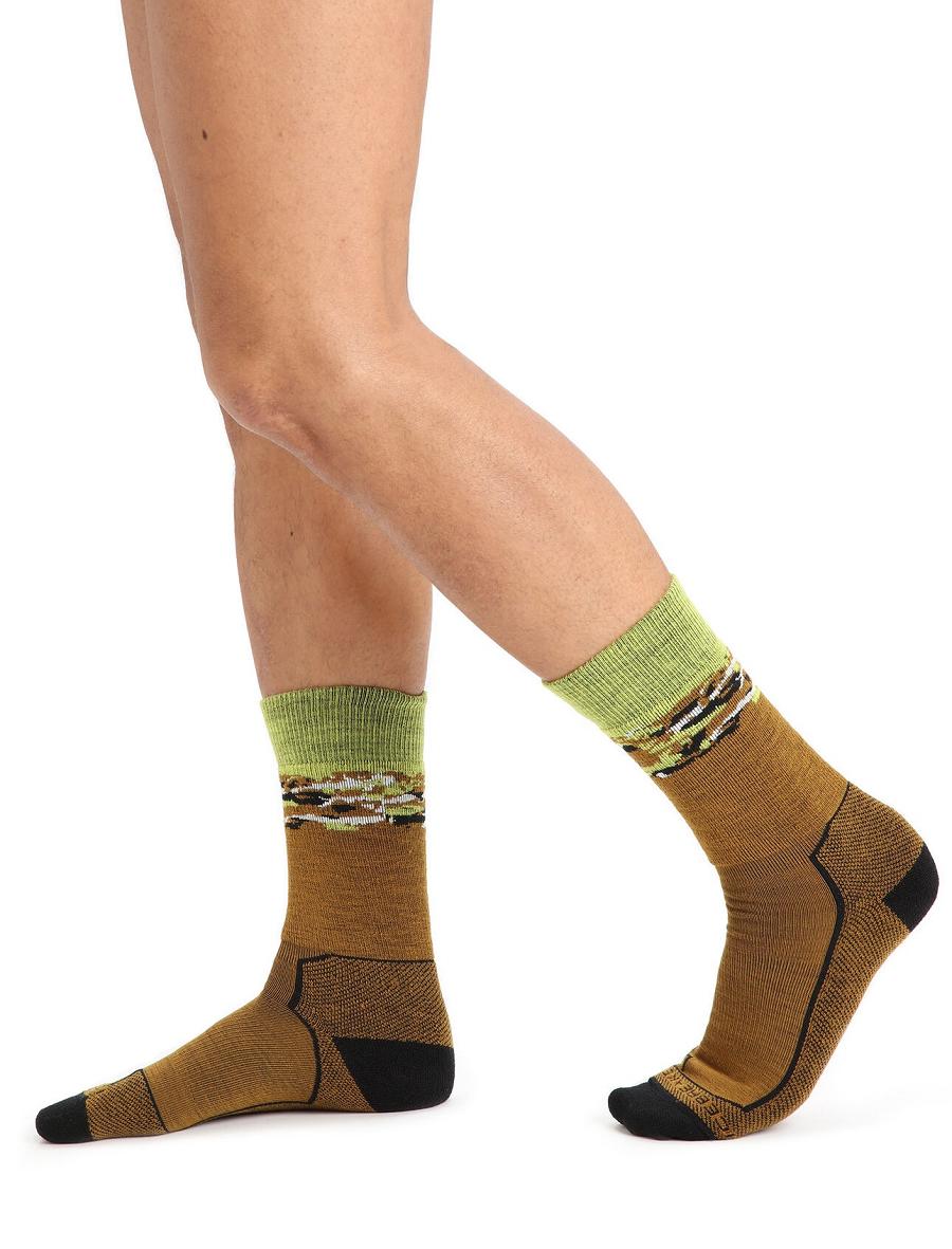 Men's Icebreaker Merino Hike+ Medium Crew Sedimentary Socks Clove / Black | CA 1944JPQJ